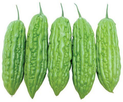 the green dotcom Hybrid bitter gourd seeds for plant Seed(51 per packet)