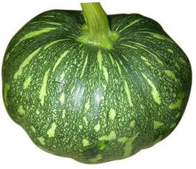 Farmonix ORGANIC VEGETABLE PUMPKIN Seed(2000 per packet)
