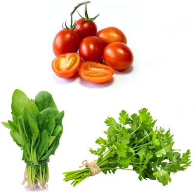 PSAgroinput Palakbhaji (spinach)- Daniya(coriander )- Tomato(tamatar)pack of 3 Seed(100 g)