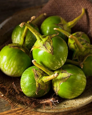 UGRA Eggplant Petch Siam Vegetable Seed(4000 per packet)