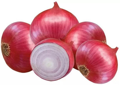 Aro Onion Red, Onion Seed(240 per packet)
