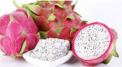 BDSresolve Dragon fruit seeds packet/Dragon fruit seed 28 Seed(28 per packet)