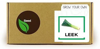 CYBEXIS Leek1000 Seeds Seed(1000 per packet)
