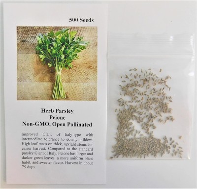 VibeX XLR-57 - Herb Parsley Peione - (750 Seeds) Seed(750 per packet)