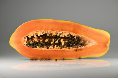 BDSresolve hybrid red lady papaya seeds/papaya seeds 25 Seed(25 per packet)