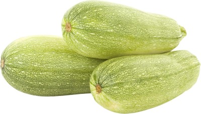 Qualtivate PUA-6A Grey Zucchini Squash Calabacita Seed(30 per packet)