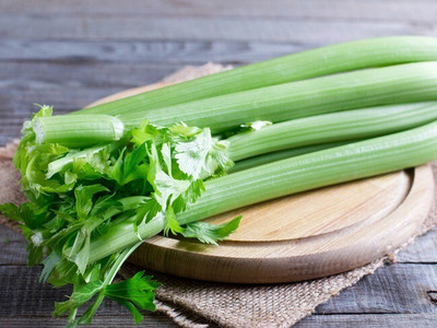 Quentova Organic Celery-Tall Utah-8L-PUAS Seed(100 per packet)