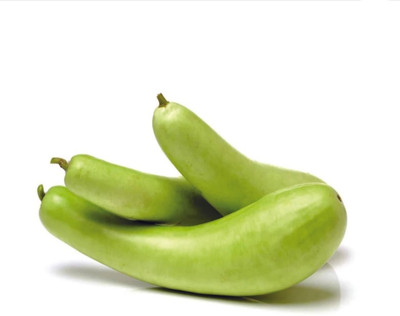 UGRA Bottle Gourd Hybrid Seeds Seed(20 per packet)
