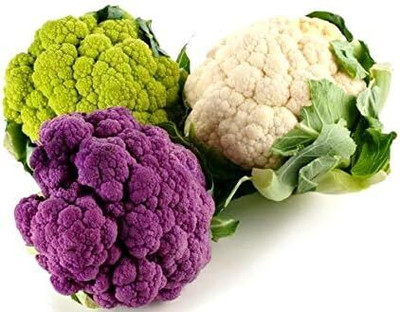 Qualtivate ICRA-9A Colorful Cauliflower Mix of 5 Varieties Seed(300 per packet)