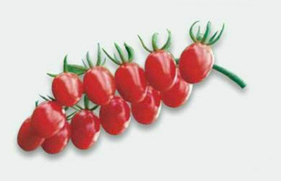 CYBEXIS Cherry Plum Tomato Vegetable Seeds2000 Seeds Seed(2000 per packet)