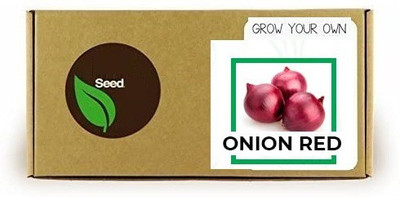CYBEXIS Onion Red1000 Seeds Seed(1000 per packet)