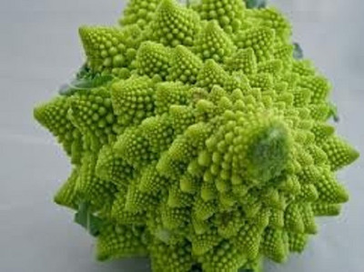 Qualtivate RES-8A BROCCOLI ROMANESCO SEEDS Seed(300 per packet)