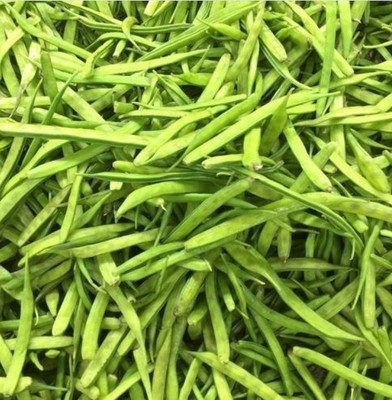 WATIKA cluster beans Seed(250 per packet)