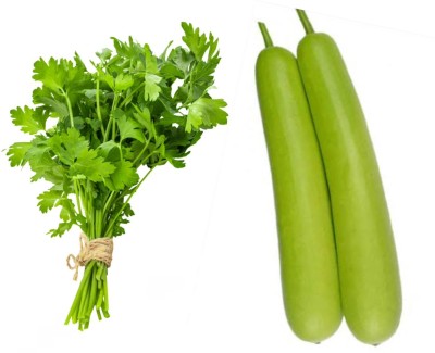 Garden Basket Hubb Dhaniya(coriander) Lauki (Bottle Gourd) Vegetable Seed(100 g)