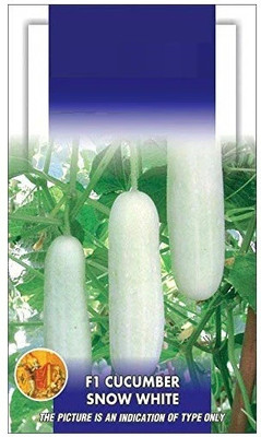 Cloud Farm ® Cucumber F1 White Long Vegetable seeds(80 Seeds) Seed(80 per packet)