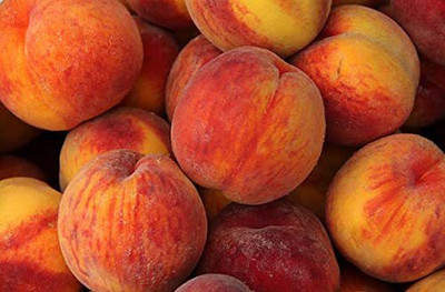 ACCELCROP Peach Cherry Fruit Seed(7 per packet)