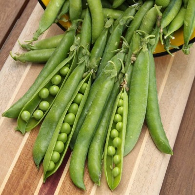 CYBEXIS ATS-16 - Green Arrow Shell Pea - (900 Seeds) Seed(900 per packet)