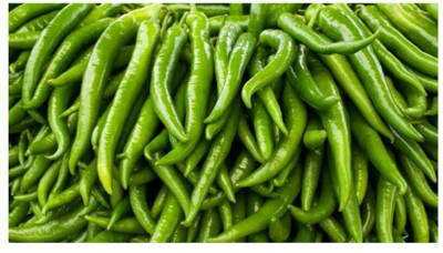 granthi Long Chilli हरी मिर्च Seed(1000 per packet)