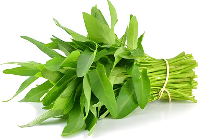 seedito Green Water-Spinach Seeds/Spinach Seeds For Home Garden Seed(65 per packet)