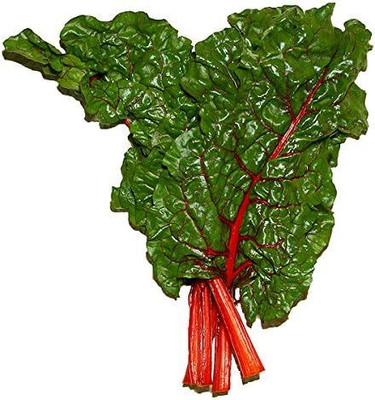 KNESSiN Rhubarb RED Swiss Chard Perpetual Spinach Beta Vulgaris-{800 Seeds} Seed(800 per packet)
