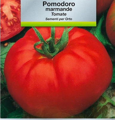 CYBEXIS Tomato RAF Seeds2000 Seeds Seed(2000 per packet)