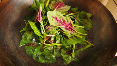 Qualtivate PUA-8A Amaranthus Tricolor Spinach Yin Choi Seed(300 per packet)
