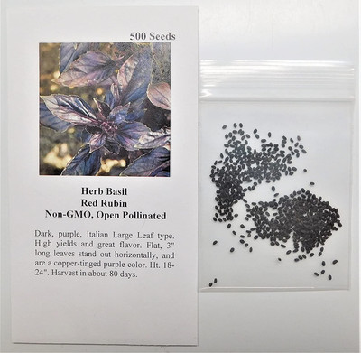 VibeX ® VMR-5 Red Basil Seeds Seed(1000 per packet)