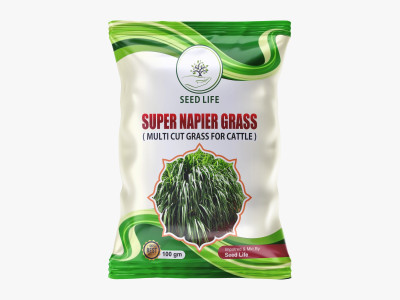 SeedLife Super Napier Grass Seeds - Pack of 100 Gram Seed(100 per packet)