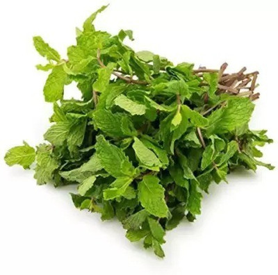 MAA Mint, Pudina Seed(60 per packet)