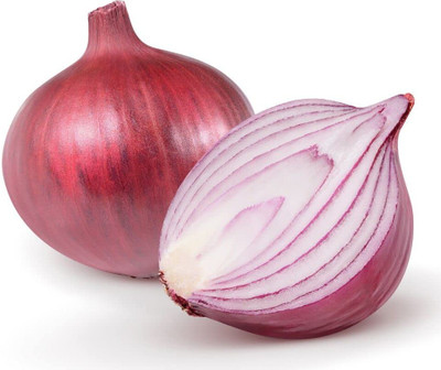 KNESSiN Easy to Grow Red Star Onion Vegetable Seeds for Garden-(1200 Seeds) Seed(1200 per packet)