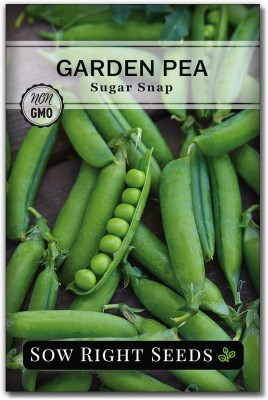 Qualtivate RES-6A Sugar Snap Pea Seed Seed(200 per packet)