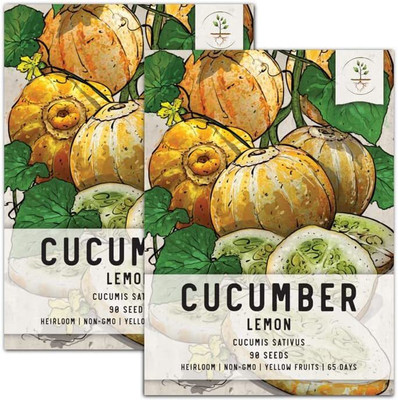 CYBEXIS LX-13 - Lemon Cucumber (Cucumis sativus) - (1350 Seeds) Seed(1350 per packet)