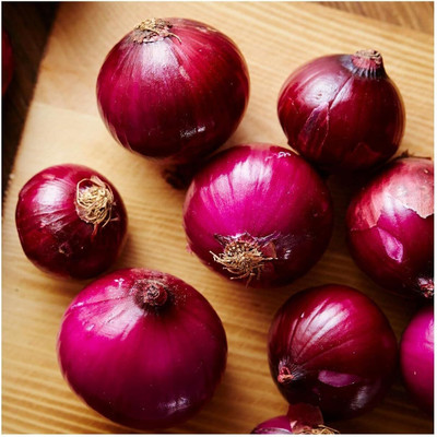 WILLVINE VMR -IX Ruby Red Onion Seeds [100g] Seed(300 per packet)