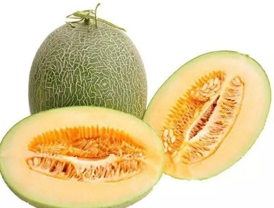 Quentova Sweet Hami Melon Muskmelon/Cantaloupe-CIAR-22B Seed(150 per packet)