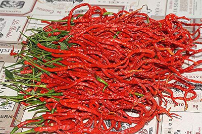 WILLVINE HUA -I Thunder Mountain Longhorn Cayenne Heirloom Chilli[1gm, 200 Seeds] Seed(200 per packet)