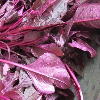 Qualtivate JXL-8AT Amaranthus Leaf Red/Cholai Red Saag Seed(300 per packet)