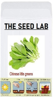 KNESSiN Chinese Lettuce Seed(1250 per packet)