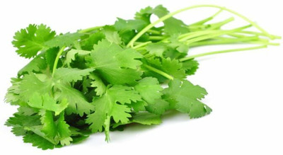 ZIXA Coriander Dhaniya Seed(1000 per packet)