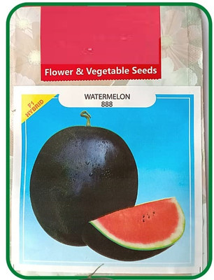 Qualtivate PUAS-7A WATER MELON (ROUND SHAPED ) Seed(100 per packet)