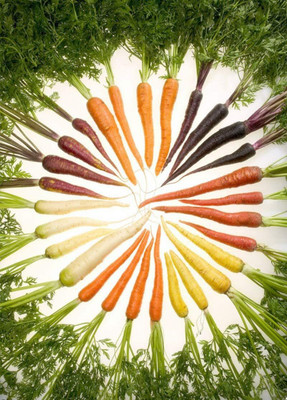 CRGO GAAJAR, CARROT Seed(1500 per packet)