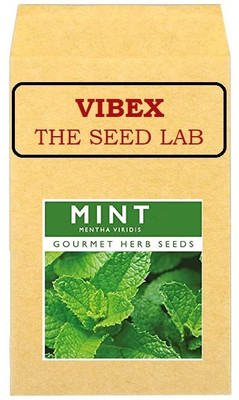 CYBEXIS Mint Hybrid Seeds700 Seeds Seed(700 per packet)
