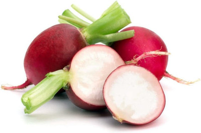 WILLVINE PUAS-777 Early Scarlet Globe Radish Seeds Seed(500 per packet)
