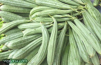 VNR Fresh VNR Ridge Gourd (Torai) Hybrid Vegetable Seed(10 per packet)