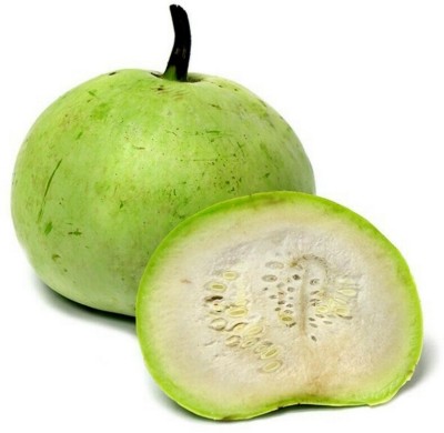 Quentova Tinda Apple Gourd-VISHVA-5F Seed(150 per packet)