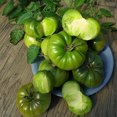 KNESSiN Open-Pollinated German Green Tomato Summer Vegetable Seeds - (1000 Seeds) Seed(100 per packet)