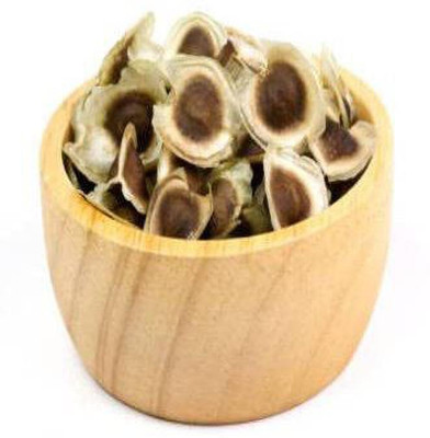 CYBEXIS XLL-1 - PKM1 Moringa Oleifera - (1350 Seeds) Seed(1350 per packet)