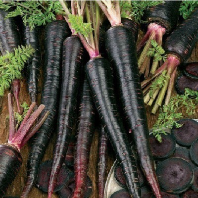 Advance seeds Black carrotseeds,seeds,vegetbleseeds Seed(50 per packet)