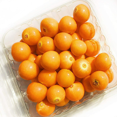 QALANDAR Golden Berries / Cape Gooseberries Seed(30 per packet)