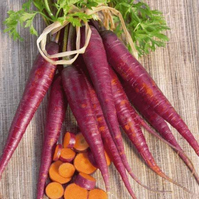 CYBEXIS PAU-28 - Purple Carrot - (250 Seeds) Seed(250 per packet)