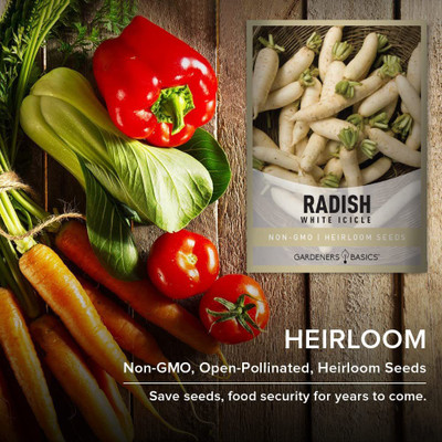 CYBEXIS LXI-90 - White Icicle Radish - (750 Seeds) Seed(750 per packet)